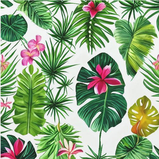 The Tropic | Canvas